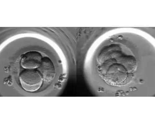 西安古玩收购当天交易是真的吗_“又见大唐”大型文物特色展