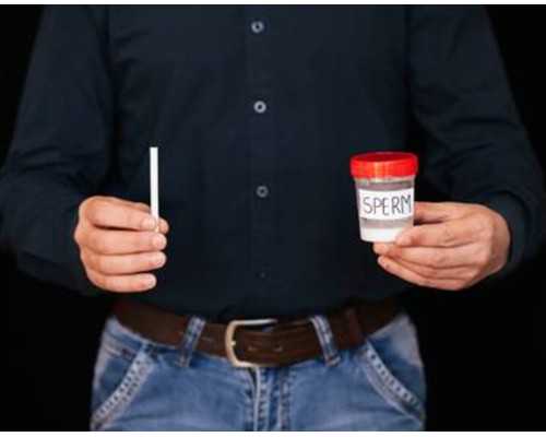 古玩收藏官网_上海双年展策展人：在你内心唤起一片问题的森林，展览就成功