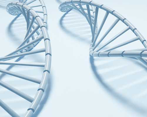 香港诗康富验血准吗_自己怎么去香港验血测性别?你想知道的流程都在这!