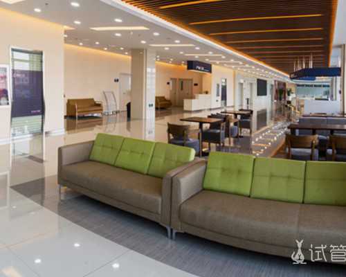 轩铭艺术网古玩交易可靠吗_西红柿青椒鱼