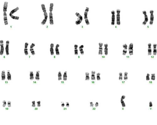 香港验血男 打胎是女孩_香港验血没有结论复检_预约香港验血需要什么流程!