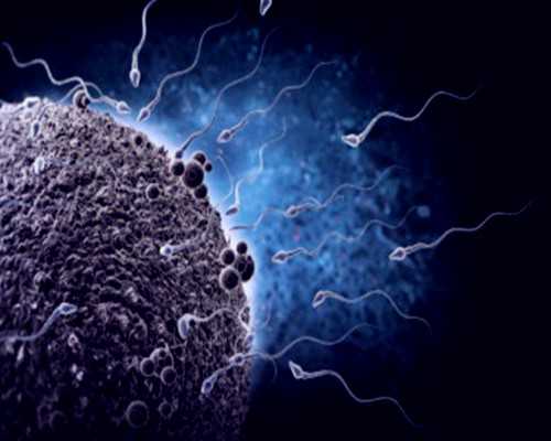 送仙桥古玩市场怎么走_钱币市场行情平稳