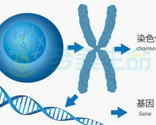 香港上水广场验血地址_香港验血检测男女机构哪个好_查性别需要什么条件!