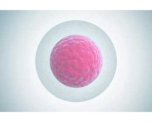 香港验血怎么把血液邮寄过去_香港验血报告显示4个ND_鉴定胎儿性别准确率高吗