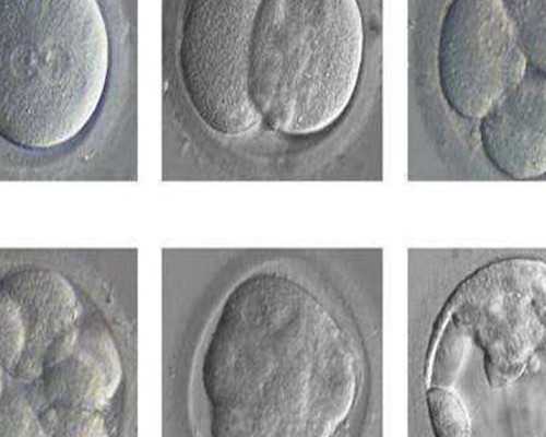 18周香港验血多少钱_流产后香港验血准禁绝_邮递验血准禁绝!