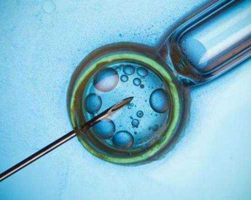 大陆去香港验血男女_香港上水广场有验血_验血查性别是不是真的很准!