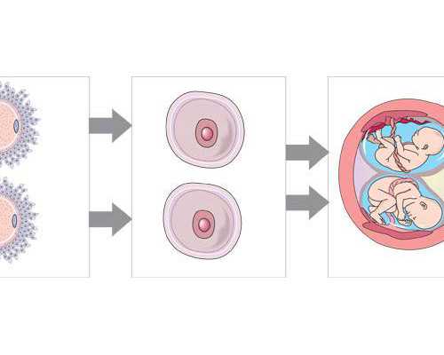 香港验血准确不准_香港验血十大权威机构?真实经验分享给你