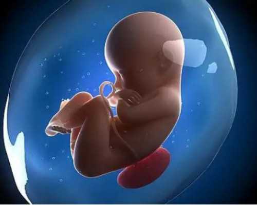 香港去验血性别多少钱_香港验血测胎儿染色体,验血查男女准不准