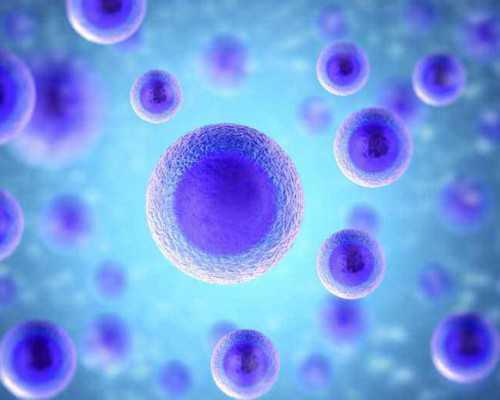 怀孕可以抽血送香港验血_香港寄血样验男女怎样联系_寄血过去可靠吗性别鉴定