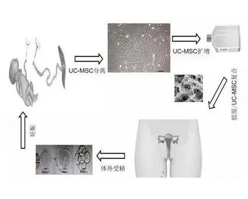 亲自到香港验血多少钱_香港验男女准确吗_验血查性别会翻盘吗