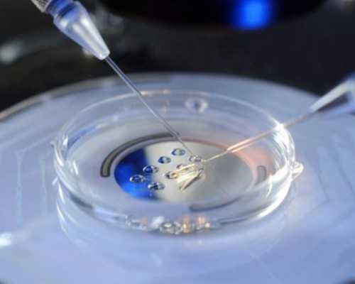 香港验血查性别保障_香港9周验血准吗_验血查性别是不是骗人的