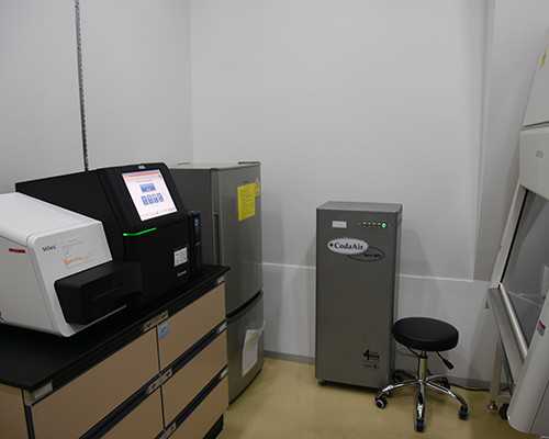 邮寄香港验血中介靠谱吗_关于运动会开幕式的广播稿运动会开幕式可以干什么