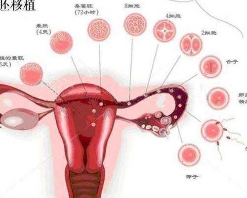 去香港验血来回多少钱_正规的基因检测单位准确率高