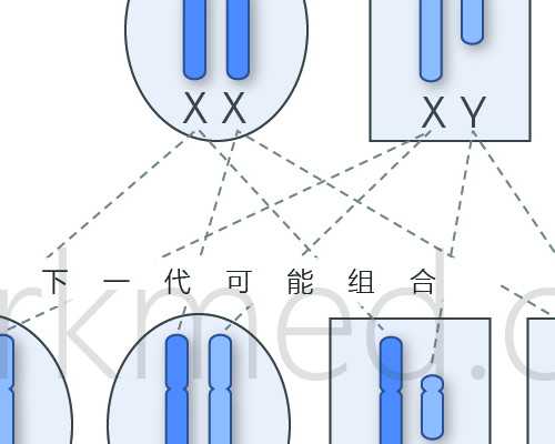 香港验血男女费用多少钱_5十周可以去香港抽血验男女了吗_过程有惊无险!