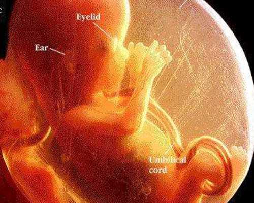 寄血香港验血怎么找正规中介_双胞胎香港查男女_多少周可以去香港验血!