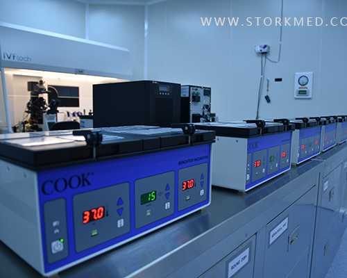 香港验血胎儿鉴定费用_如何去香港验血查男女孩_我的经历，给你更多的惊喜