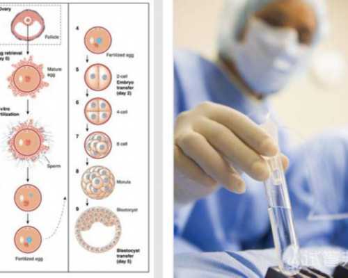 香港验血标准多少钱_傣族的习俗有哪些?傣族的风俗习惯有那些?