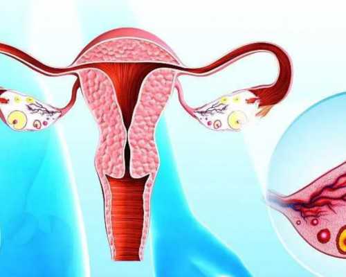 寄血到香港验血 五天会变质吗_香港验血知胎儿性别准确吗？给大家分享我的真