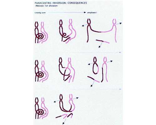 不去香港验血能邮寄过去吗_香港验血看性别准确吗?亲身经历分享给大家