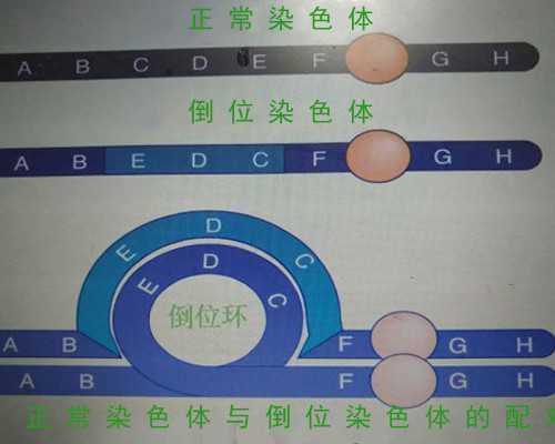 排名公开:咸阳不孕不育医院排名好的医院(排行榜top前三)~专业的代孕机构