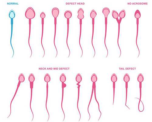 古玩拍卖网站_崇古出新