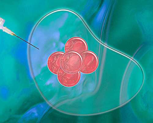 电动古玩抛光刷_行为艺术是血腥暴力？还是寻求精神自由？