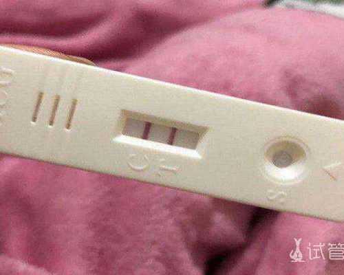 香港验血要求mkm 机构_香港合法的验血机构准不准_宝妈亲身告诉你!