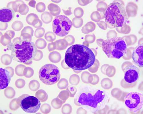 重生流古玩类小说_走出国门买买买是技术活