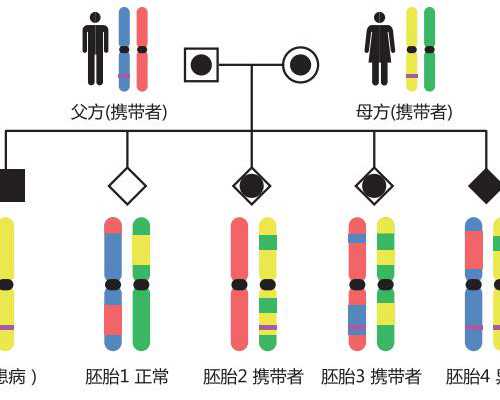 厦门古玩拍卖公司_理和堂 鲜为人知的历史!