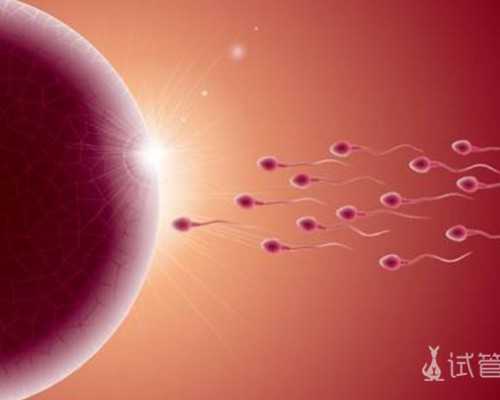 香港验血查男女靠谱吗_香港验血单15项只有10项Y_性别鉴定真的有科学依据吗!