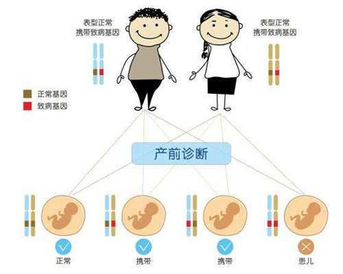 古玩小说类小说排行榜_甲骨文成功入选《世界记忆名录》 走近最古老的成熟文