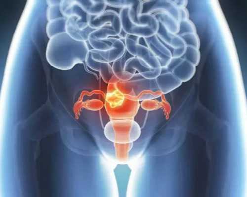 横店古玩艺术品交易中心_中国拍卖行为何难以进入日本藏家系统？