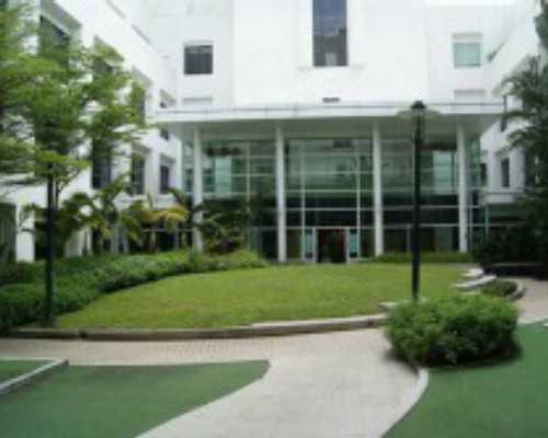 北京古玩收藏家联系方式_可口的下饭菜之泡椒鸡杂