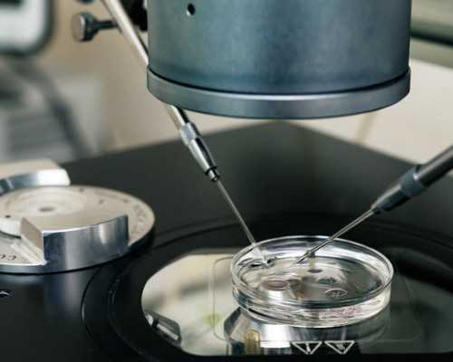 古玩app 骗局_透过当代艺术拍卖日解析当前市场