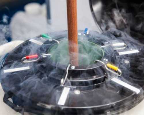 古玩电影2001_沈周早中期书法风格的嬗变