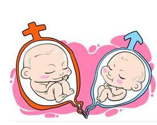 邮寄香港验血性别_去香港验血男女多少钱_你想了解的都在这了