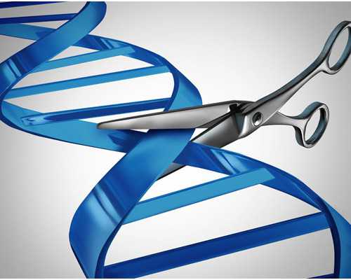 香港验血男孩回来变双胎_香港胎儿性别鉴定出错几率,首选是又快有准确的机