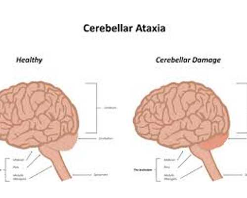 海南书画古玩城在哪_静对字帖
