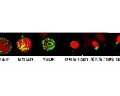 怀孕香港验血多少天打b超好_香港验血我爱购物网_验血女孩竟然翻盘!