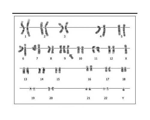 去香港验血价格多少钱啊_香港6周可以查男女准吗_几个y才是男的该如何预约