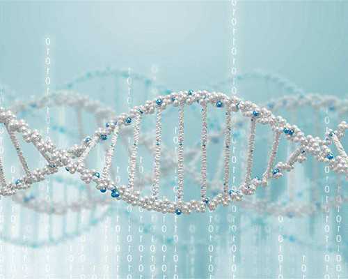 香港有几个验血中心_10周还可以香港验血_哪个机构最权威!