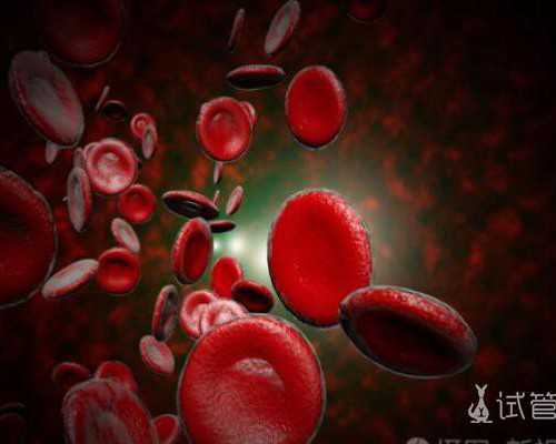 中国古玩指南.pdf_以文化远见推动新时代书法教学的新发展