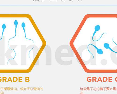 在疫情期间古董古玩如何交易出手_西安工业大学数字媒体艺术专业学生在延安