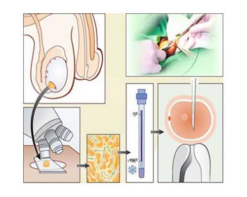全国各地古玩交流会时间表_习近平给中国国家博物馆的老专家回信