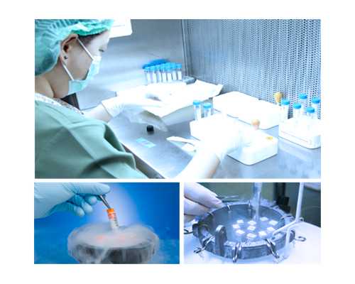 香港验血中介出的报告_香港性别鉴定机构预约,查性别真的准确吗