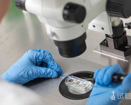 广州古玩诈骗员工判刑_一周水煮蔬菜,减下来