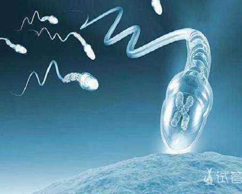 到香港验血查性别费用_北京代理机构做香港性别鉴定,亲身经历告诉你真相