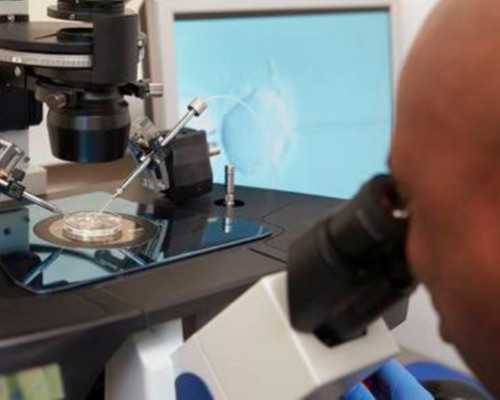 古董古玩上门交易_伊夫•内茨哈默谈《云的陵园》：转化意味着生命的轮回