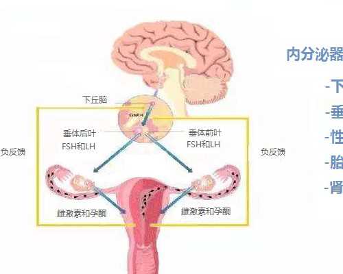 香港验血一般要多少钱啊_怀孕多久验血能测出来男女_真实经历,希望可以帮到你
