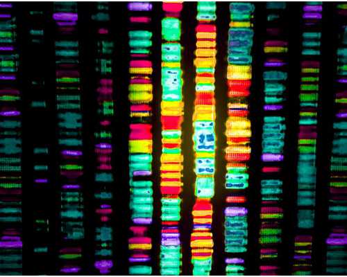 香港验血1.2mm结果准吗_香港验血机构有哪些宝妈一起来围观结果